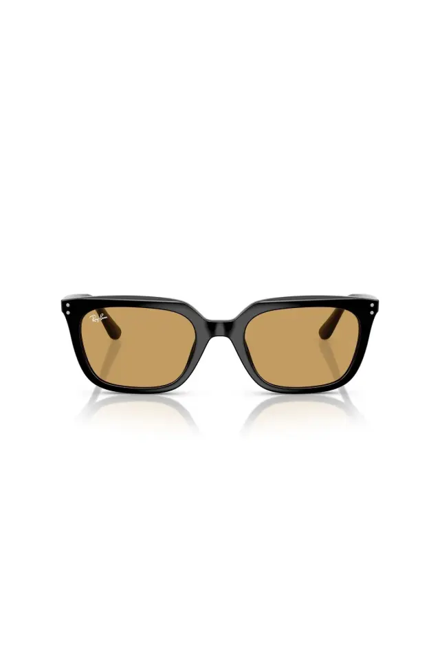 Ray-Ban 0RB 4439D 901/73 54 Unisex Güneş Gözlüğü