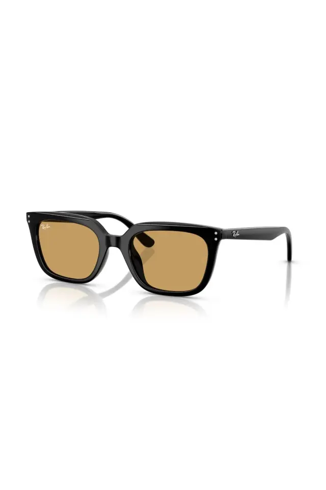 Ray-Ban 0RB 4439D 901/73 54 Unisex Güneş Gözlüğü