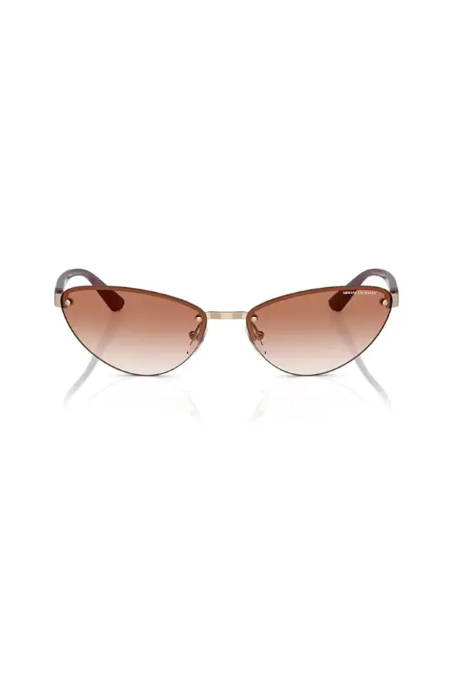 Armani Exchange AEX 2049S 610313 58 Kadın Cat Eye Rose Gold Metal Güneş Gözlüğü