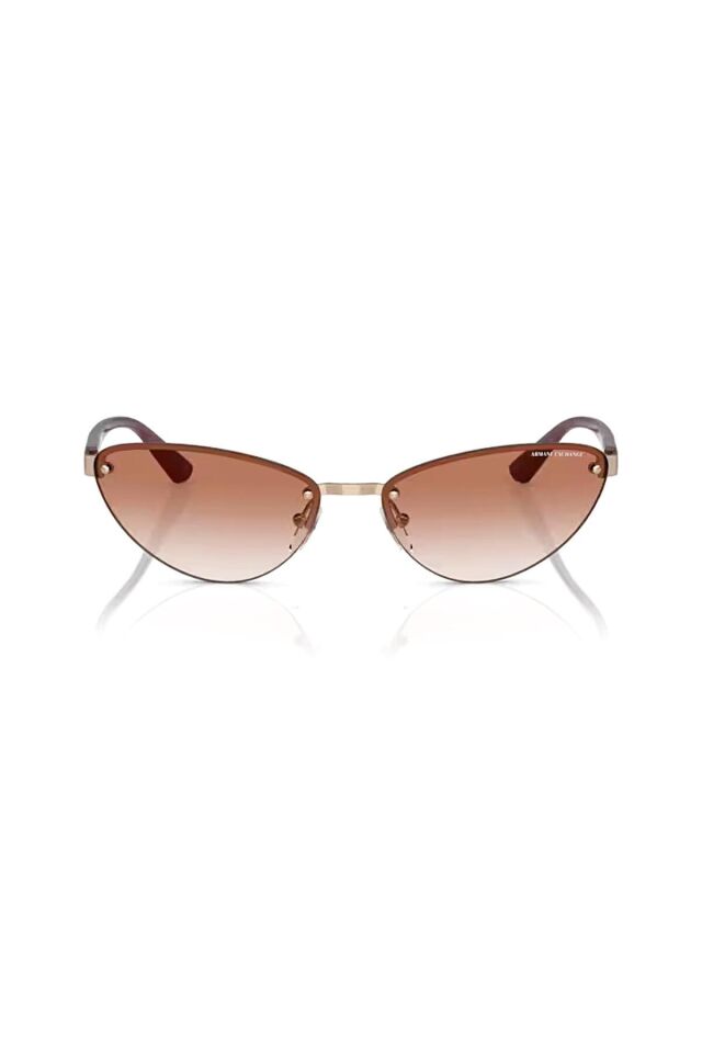 AEX 2049S 610313 58 Kadın Cat Eye Rose Gold Metal Güneş Gözlüğü