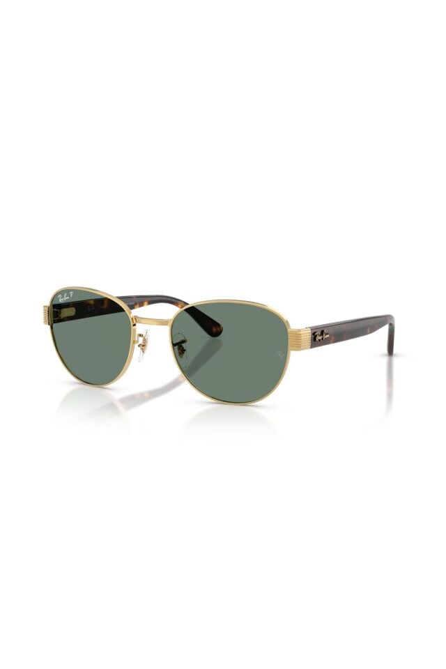 Güneş Gözlüğü - Polarize RB3766CH 56 001/O9
