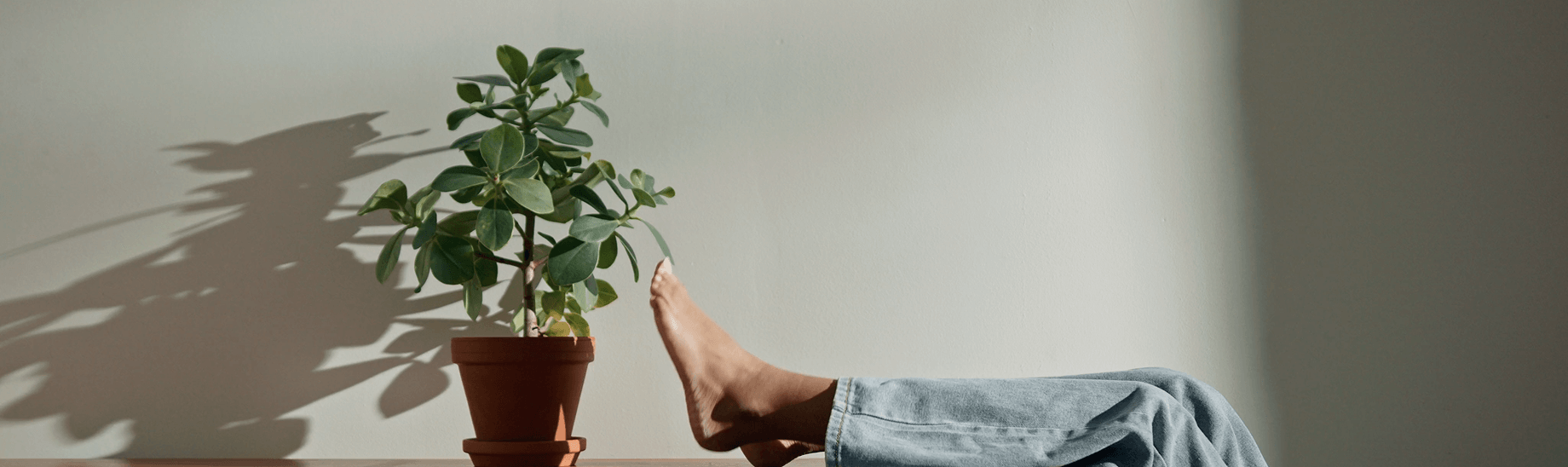 Modern Living with <br> Designer Furniture